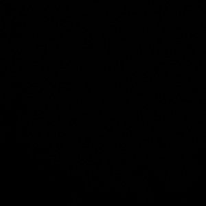 Meet your Posher, Susie